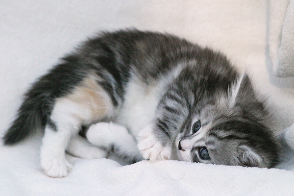 Amber_270512_03 (2).jpg